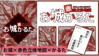赤色立体地図お城かるた
