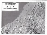 十日町 - カラー段彩陰影図及び災害情報