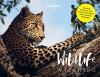 Lonely Planet's A-Z of Wildlife Watching 1