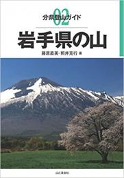 岩手県の山