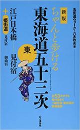 ちゃんと歩ける　東海道五十三次　東+姫街道