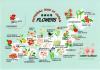 日本の花 Sweet Japanese Flowers