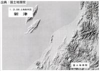 新津 - 2万5千分1土地条件図