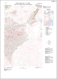 徳島地域重力図 - 重力図