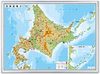 北海道地方 大 ( ボード )