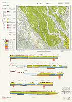 大宮 - 5万分の1地質図及び説明書