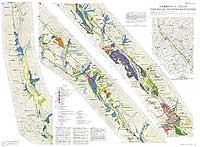 阿寺断層系ストリップマップ - 地質構造図