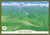 美瑛・富良野