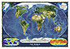 World Satellite